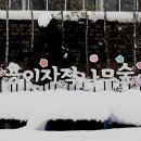 자작나무 조형물 이미지