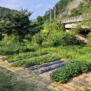 다올마트 | 양평 다올 오토캠핑장 물 좋고 공기 좋은 서울 근교 캠핑장 추천
