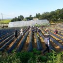 교동면-3 이미지