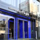 딜라이트인 이미지