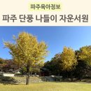 자운학교 | 파주 자운서원 단풍 나들이 아이들과 가기 좋은 곳