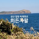 성산1길 | 제주 히든자왈 독채펜션 여행기 — 성산의 자연과 감성을 품은 힐링 스테이