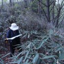 악양면사무소 이미지