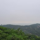 정상행정사 이미지