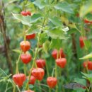 멋내기 - 광주시 경안안길 65 | 멋내기