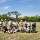 성체유치원 이미지