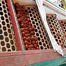 최종길농장 이미지