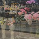 뷰티박 | ~7/2 닭만 먹는 뷰티박의 일상