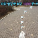 (주)이-글벳 네이버블로그