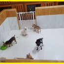 바우밸리 이미지