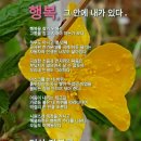 행복, 그 안에 내가 있다. 이미지