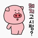 기장유가