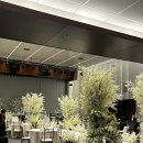 호텔라온제나 이미지