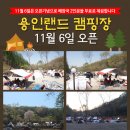 용인랜드숲속캠핑장 오픈 이미지