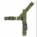 펫 다옴 이미지