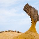 CW-1900-01 이미지