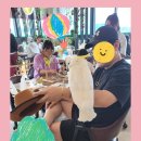 리프패럿 이미지