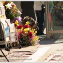 (주)서윤 이미지