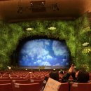 공연예술 연극체험 | 디테일 장인들의 <센과 치히로의 행방불명> 연극 내한공연 후기_예술의전당 오페라극장 1층 시야