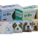 청솔온누리약국 이미지