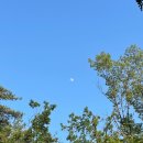 저녁요가 이미지