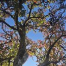 굿모닝카랜드 | [DAY9] 안시 호수에서 수영하고 캠핑하기