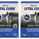 나의 강아지 이미지