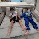 콘서트374 이미지