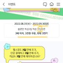 BMMA 이미지