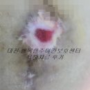 7254 | 대전 행복한주야간보호센터 욕창치료 후기