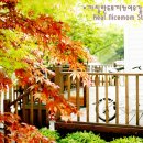 노에마스튜디오