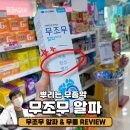 사계절 손약국 이미지