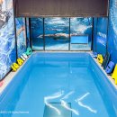 핏 플러스짐 이미지