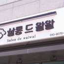 왈왈 살롱 이미지