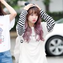 귀엽댕 이미지