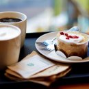 스타벅스 봄 딸기 라떼 출시 봄 음료 3종 출시