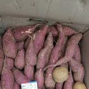 혜성판매(주) 네이버블로그