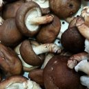 천고농장 이미지