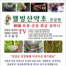 웰빙산약초건강원