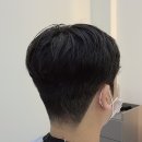 프리모디자인 이미지