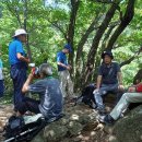 제323차 산행기(240817-청계산) 이미지