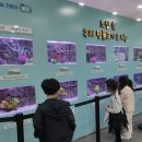 도서관에서 만나는 과학 이미지