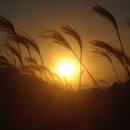 해질무렵 이미지