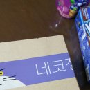 아크블리츠(주) | 네코장 + 네코제 + The Black 쇼케이스 후기