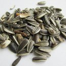 청춘식품 이미지