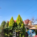 남해아라힐펜션 | 남해펜션 자연속에서 제대로 쉴수 있는 곳 남해아라힐펜션