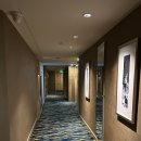 르네상스 | 상하이 아이랑 가족여행 위치 좋은 호텔 숙소｜커넥팅룸 가능한 르네상스 상하이 유 가든 후기