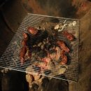 직실농원 이미지