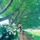 광동천 네이버블로그