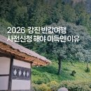 강진-16 | 2026 강진 반값여행 정보 미리보기 (2025년 참여 후기 및 정산 꿀팁)